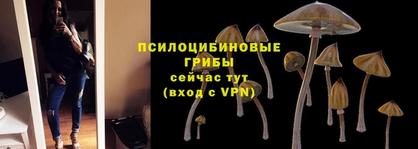 герыч Арсеньев