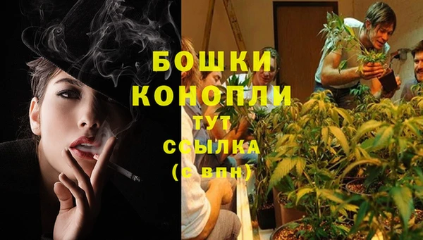 гашишное масло Аркадак