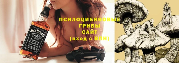 герыч Арсеньев