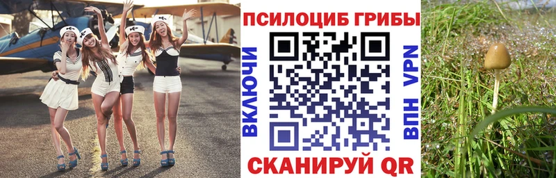 Псилоцибиновые грибы ЛСД  купить наркоту  Голицыно 